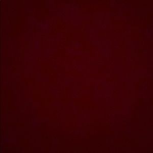 Meet your Posher, Lily